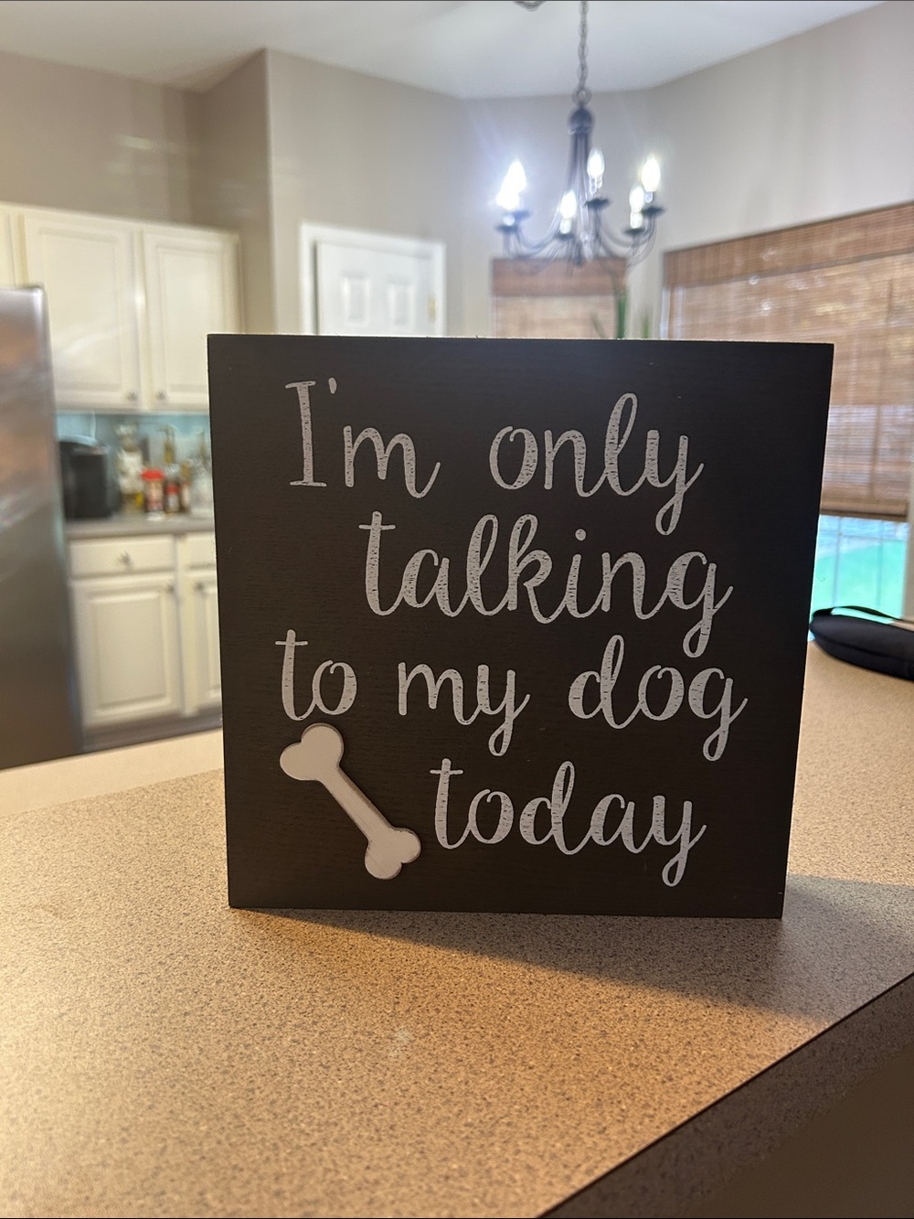 Decorative Brown Dog Sign - "I'm Only Talking to My Dog Today"